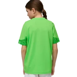 Camisetas manga corta Puma Gfc Training Jersey