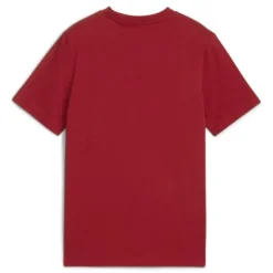 Camisetas manga corta Puma IMA BASKETBALL Posterize Tee I B