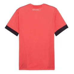 Camisetas manga corta Puma Individualgoal Graph