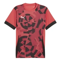 Camisetas manga corta Puma Individualgoal Graph