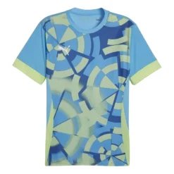 Camisetas manga corta Puma Individualgoal Graph