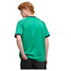 Camisetas manga corta Puma PUMA SPORT Pinnacle