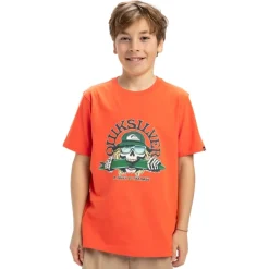 Camisetas manga corta Quiksilver Ev Skull Feast Ss Yth