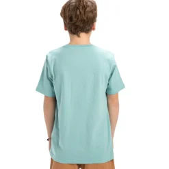 Camisetas manga corta Quiksilver Ev Typed Out Ss Yth