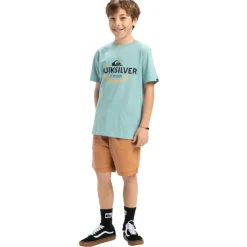 Camisetas manga corta Quiksilver Ev Typed Out Ss Yth
