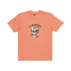 Camisetas manga corta Quiksilver One Last Surf Ss SMU