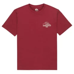 Camisetas manga corta Quiksilver PromoTee SMU Bliss Point Ss