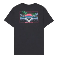 Camisetas manga corta Quiksilver Hellbender Ss
