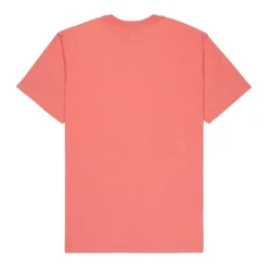 Camisetas manga corta Quiksilver Ev Mini Logo Ss
