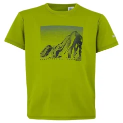 Camisetas manga corta Regatta Bosley VIII