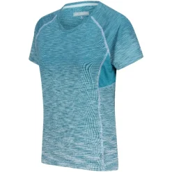 Camisetas manga corta Regatta Laxley II