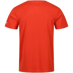 Camisetas manga corta Regatta Fingal VII