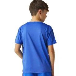 Camisetas manga corta Regatta Alvarado VIII