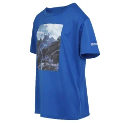 Camisetas manga corta Regatta Alvarado VIII