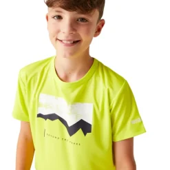 Camisetas manga corta Regatta Alvarado VIII