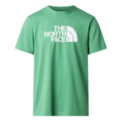 Camisetas manga corta The north face M Evolution Half Dome Regular Short Slee