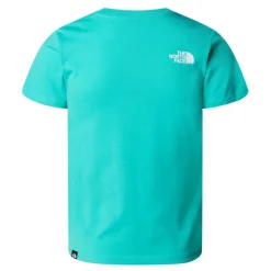 Camisetas manga corta The north face Simple Dome Junior