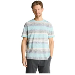 Camisetas manga corta Tom tailor Inside Printed Stripe T-Shirt