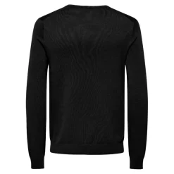 Camisetas manga larga Only & sons Onswyler Life Reg 14 Ls V-Neck Knit