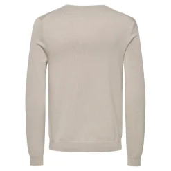 Camisetas manga larga Only & sons Onswyler Life Reg 14 Ls V-Neck Knit
