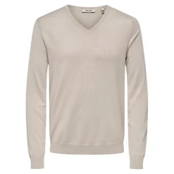 Camisetas manga larga Only & sons Onswyler Life Reg 14 Ls V-Neck Knit