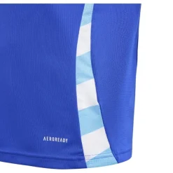 Camisetas oficiales fútbol Adidas Selección Argentina Segunda Equipación
