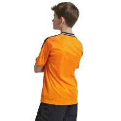 Camisetas oficiales fútbol Adidas Real A Jsy Y