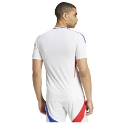 Camisetas oficiales fútbol Adidas OL H JSY