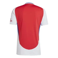 Camisetas oficiales fútbol Adidas AFC