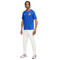 Camisetas oficiales fútbol Nike Fff M Nk Df Stad Jsy Ss Hm