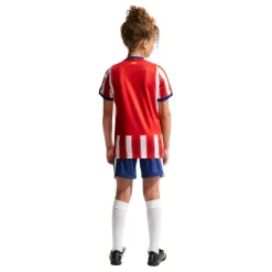 Camisetas oficiales fútbol Nike Atlético de Madrid 1ª Equipación