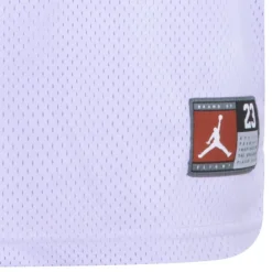 Camisetas sin mangas Jordan Jdn Jordan 23 Jersey