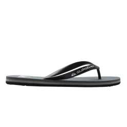 Chanclas Quiksilver Molokai Core