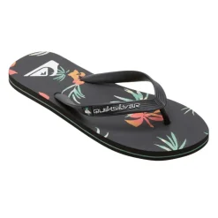 Chanclas Quiksilver Molokai Art Ii