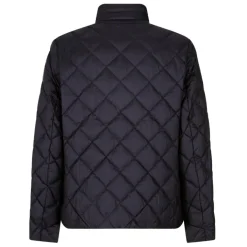 Chaquetas Geox M Ascanio Short Jkt