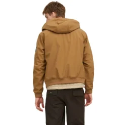 Chaquetas Jack & jones Jjebasic Softshell Hood Noos