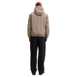 Chaquetas Jack & jones Jjebasic Softshell Hood Noos