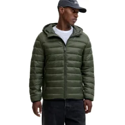 Chaquetas Jack & jones Jjebradley Light Puffer Hood Noos