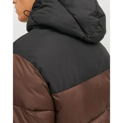 Chaquetas Jack & jones Jjetoby Puffer Hood Sn