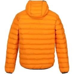 Chaquetas Regatta Hooded Marizion