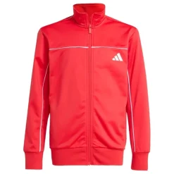 Chándals Adidas J Cp Tr Ts