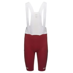 Culotes Gore bike wear SPINSHIFT Cargo Bib Shorts- Mens