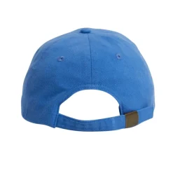 Gorras y sombreros Billabong True Tides Dad Cap