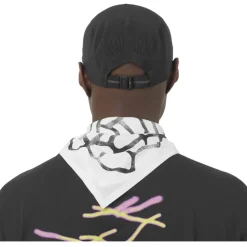 Gorra Salomon Shakeout Cap U
