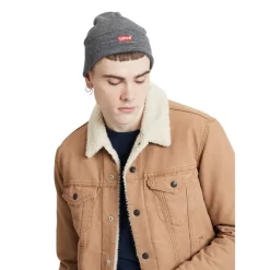 Gorros Levis Red Batwing Embroidered Beanie