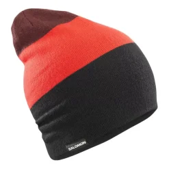 Gorros Salomon Flatspin Reversible Beani