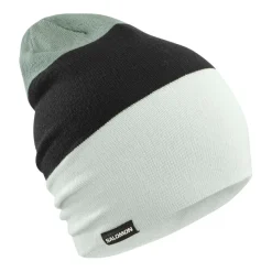 Gorros Salomon Flatspin Reversible Beani