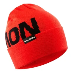 Gorros Salomon Hermitage Beanie