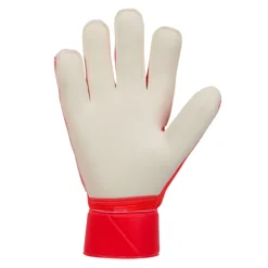 Guantes Nike Nk Gk Match - Ho24
