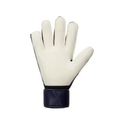 Guantes Nike Nk Gk Match - Ho23